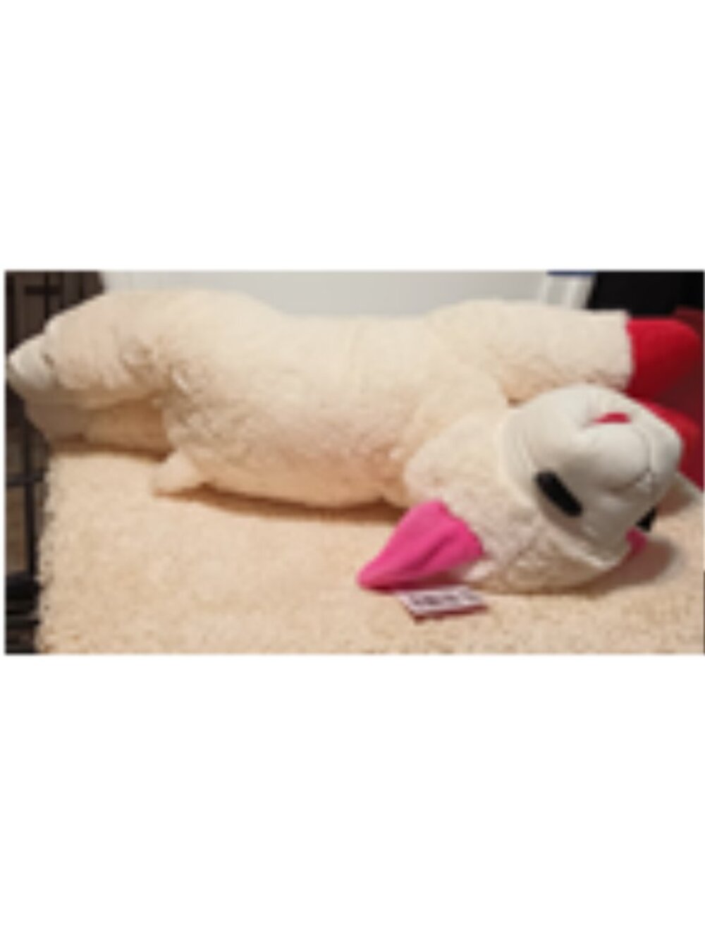NWT~ Multipet's Jumbo Valentines Plush Lamb Chop Dog Toy w/ Red 3-D Heart "XOXO" - Picture 6 of 12